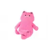 4905 Pembe Renk 55 cm Kedi