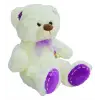 62316 PELUŞ AYI 55CM -HLY