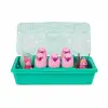64445 Hatchimals Lama Ailesi Yumurta Kartonu