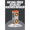 Bluetooth Hoparlör Şeffaf Mecha RGB Işıklı Çift Hoparlör 5.0 Bluetooth