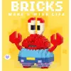 Bricks Bay Yengeç Mini Lego Figürü