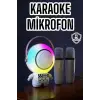Çift Mikrofonlu Karaoke Mikrofon Bluetooth Bağlantılı Dijital Göstergeli