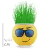Çim Adam Saksı Emoji Figürlü 1 Adet