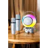 Çocuklara Özel Kablosuz Bluetooth Bağlantılı Karaoke Mikrofon