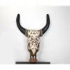 Duvara Asmalı Bufalo Kafası