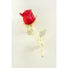 Gül Mineli Taşlı Broş