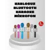 Kablosuz Bluetooth Karaoke Mikrofon  Yankı Efektli