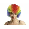 Karışık Renkli Kabarık Bonus Peruk Saç (336336)