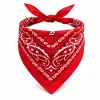 Kırmızı Kovboy Fuları Çocuk Bandana