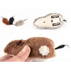 Kurmalı Fare Kedi Eğitim Oyuncağı