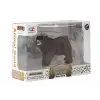 Kutulu Model Figür Hayvan Ayı