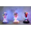 LED Işıklı Müzikli Cam Fanus İçinde Gül Buketi