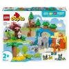 LEGO DUPLO Kasabası 3’ü 1 Arada Vahşi Hayvan Aileleri 10446