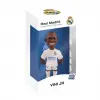 Minix Vincius