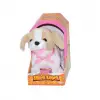 BX  47230 Sihirli Köpek Peluş