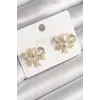 Pirinç Gold Renk Zirkon Taşlı Fiyonk Model Kadın Küpe