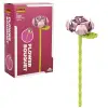 S01004694 FLOWER SET TEKLİ GÜL 101PRÇ -SUN