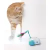 Şarjlı Robot Kedi Oyuncağı