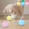 Sesli Ve Akıllı Kedi Oyuncak Topu - 50 Mm, Hayvan Sesli, Eğlenceli Kedi Oyuncağı