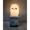 Sevimli Ayıcık Tasarımlı Gece Lambası