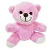 Sevimli Peluş Pembe Ayıcık