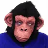 Siyah Saçlı Kafaya Tam Geçmeli Lateks Şempanze Maskesi - Lateks Maymun Orangutan Goril Maske Et Maske