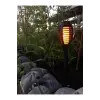 Solar Alev Efektli Bahçe Lambası