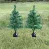 Solar Dekoratif Çam Ağacı