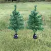 Solar Dekoratif Çam Ağacı