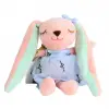 Tavşan Peluş Anahtarlık