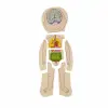 Woody Oyna Öğren Katmanlı İnsan Vücudu Ahşap Puzzle 4 x 7 Parça