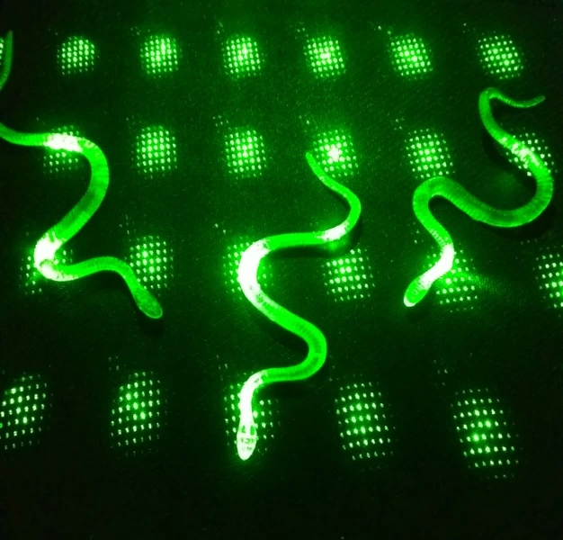 Şaka Yılan ve Kırkayak Karışık 36 Adet