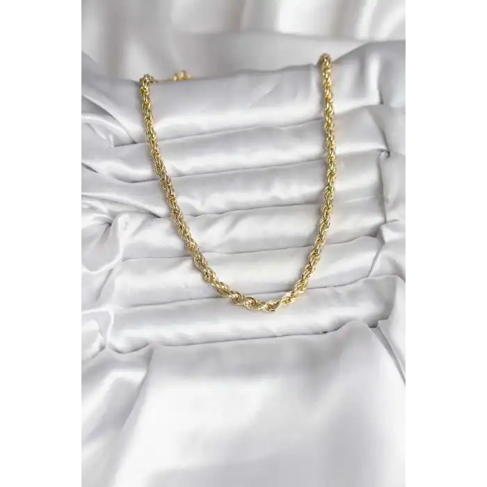 14K Gold Renk Kaplama Burgu Model CM Kadın Kolye