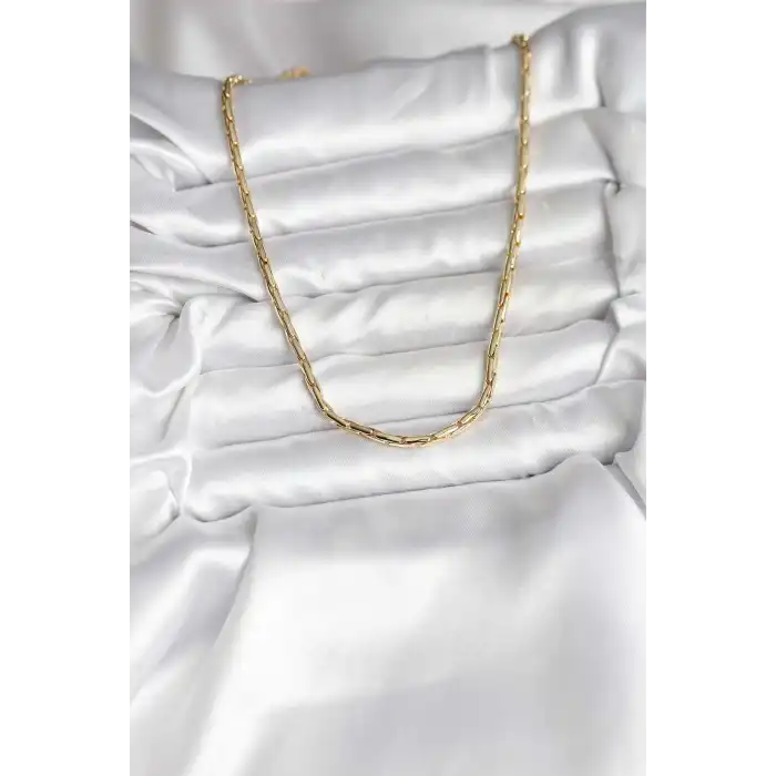 14K Gold Renk Kaplama Model CM Kadın Kolye