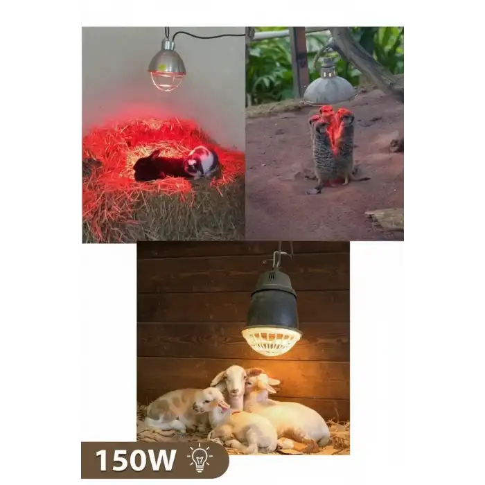 150W Kızılötesi (infrared) Isıtıcılı Hayvan Isıtma ve Kuluçka Lambası (Kırmızı Işık) E27 (Kalın Duy)