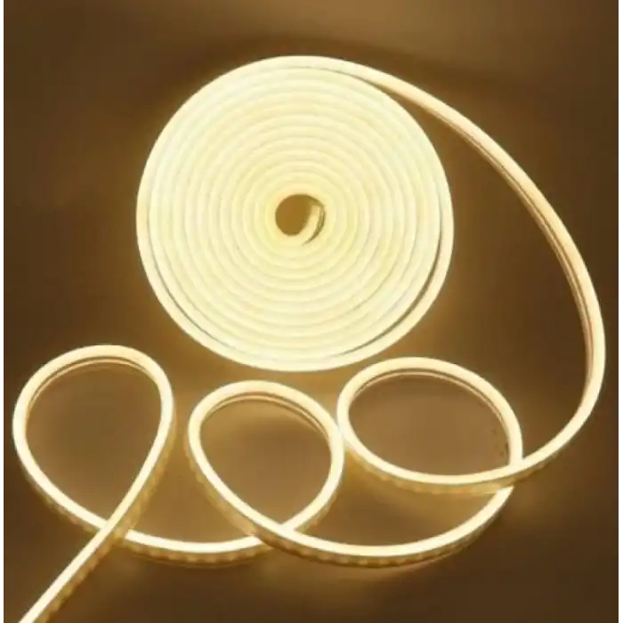 25 METRE CATA CT 4455 12V Neon Led Hortum Günışığı
