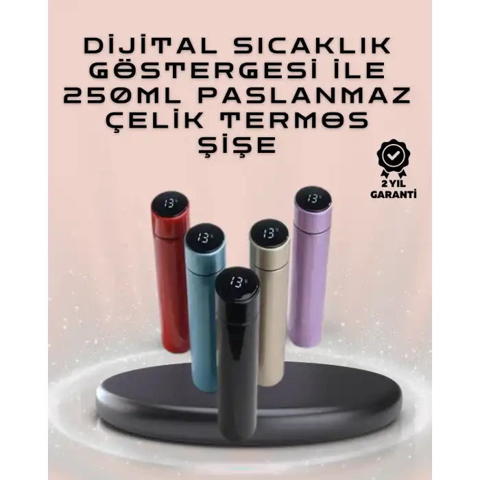 250ml LED Ekranlı Paslanmaz Çelik Akıllı Termos