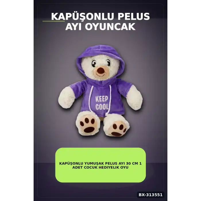 Renkli Kapüşonlu Sweatshirt Giyen 30 cm Peluş Ayı Oyuncak Hediyelik BX-313551