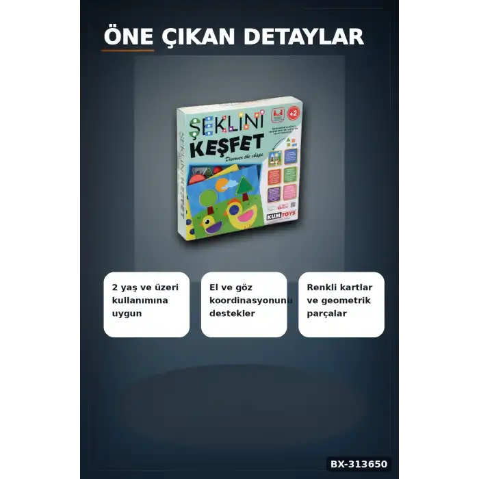 Plastik Şekil Yerleştirme Kartı Oyunu - Eğitici Zeka Geliştirme Seti, 2+ Yaş Çocuk İçin BX-313650