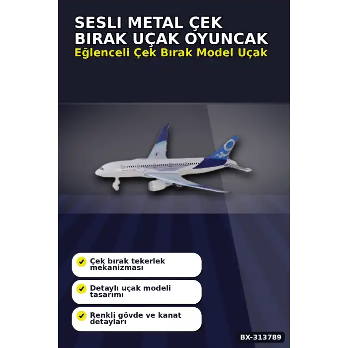 23cm Sesli Metal Çek Bırak Uçak Oyuncak - Kutulu Tekli Paket, Çocuk Hediyesi BX-313789