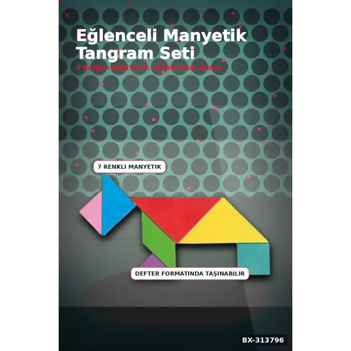 Manyetik Tangram Defteri 7 Ahşap Parça Mıknatıslı - 3+ Yaş Eğitici Zeka Oyunu BX-313796