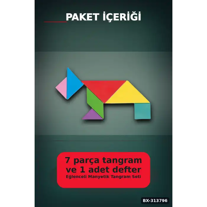 Manyetik Tangram Defteri 7 Ahşap Parça Mıknatıslı - 3+ Yaş Eğitici Zeka Oyunu BX-313796