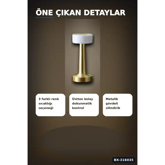 LED Masa Lambası Dokunmatik Şarjlı Abajur IP20 Korumalı Dimmer Işıklı BX-316035