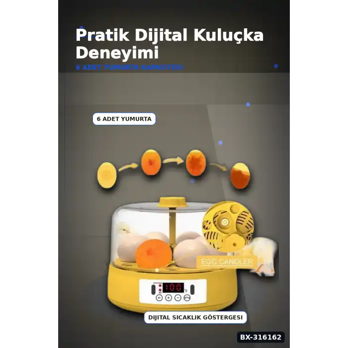 Kuluçka Makinesi 6 Yumurta Kapasiteli Otomatik Çevirmeli Ev Tipi Elektrikli BX-316162
