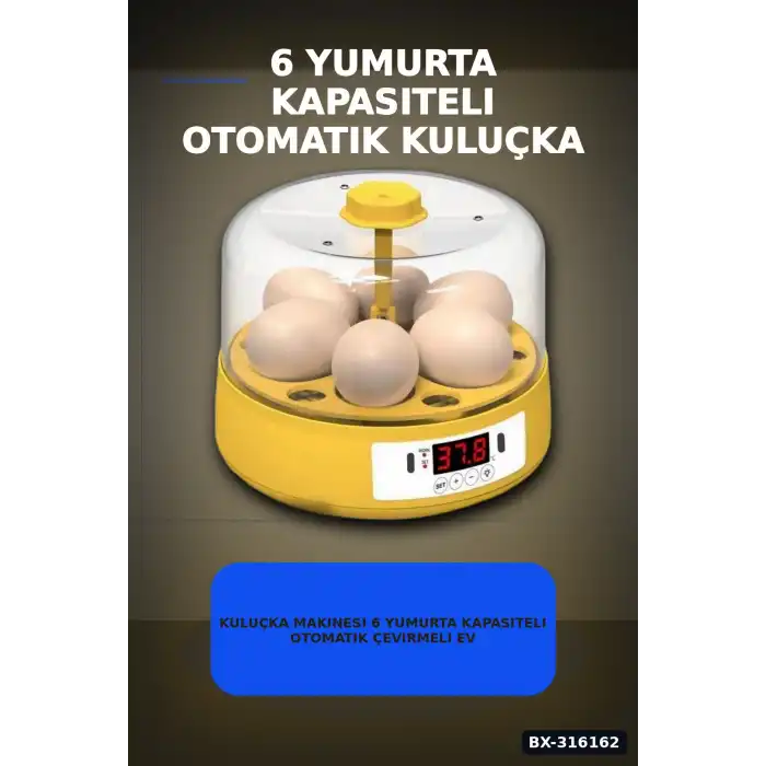Kuluçka Makinesi 6 Yumurta Kapasiteli Otomatik Çevirmeli Ev Tipi Elektrikli BX-316162