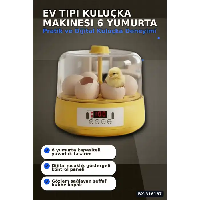Kuluçka Makinesi 6 Yumurta Kapasiteli Otomatik Döndürmeli Ev Tipi Mini BX-316167