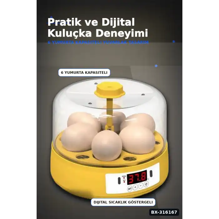 Kuluçka Makinesi 6 Yumurta Kapasiteli Otomatik Döndürmeli Ev Tipi Mini BX-316167
