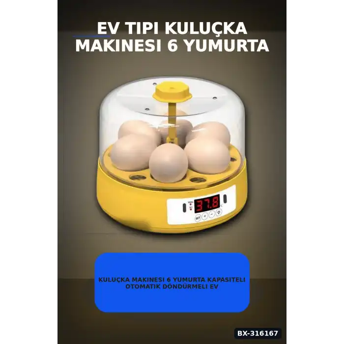 Kuluçka Makinesi 6 Yumurta Kapasiteli Otomatik Döndürmeli Ev Tipi Mini BX-316167