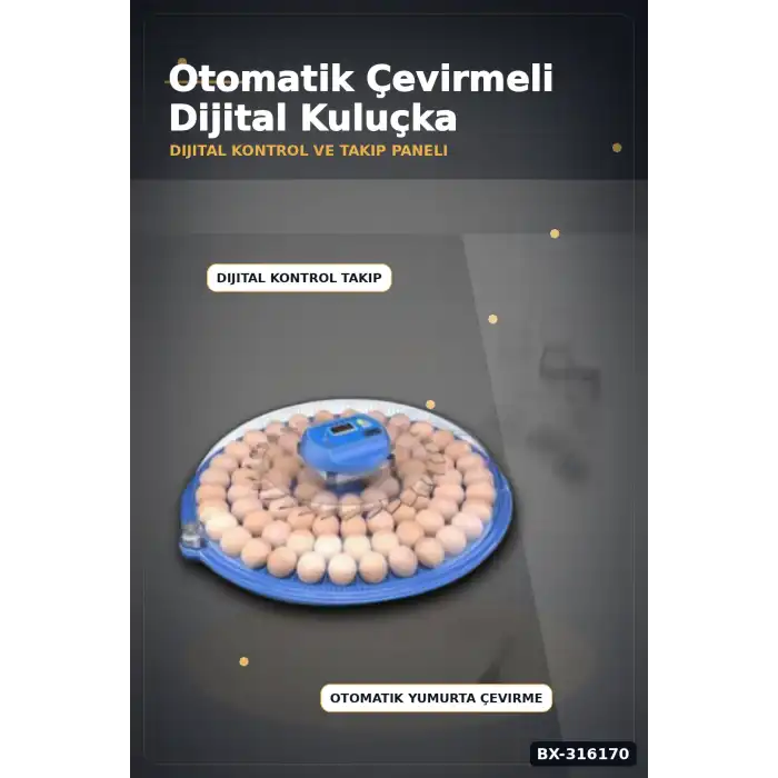 Kuluçka Makinesi Çift Viyollü 80-240 Yumurta Kapasiteli Tavuk Kaz Bıldırcın BX-316170