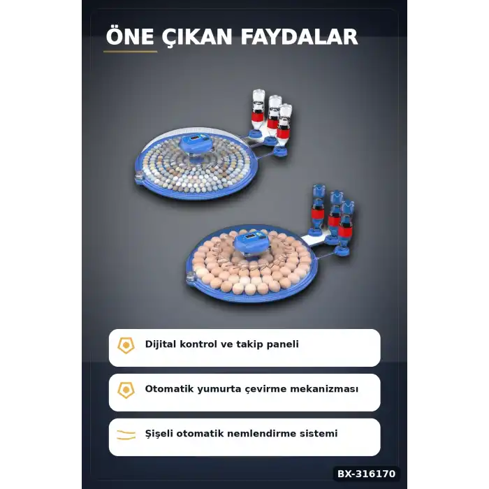 Kuluçka Makinesi Çift Viyollü 80-240 Yumurta Kapasiteli Tavuk Kaz Bıldırcın BX-316170